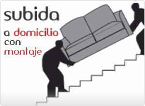 Subida a domicilio con montaje